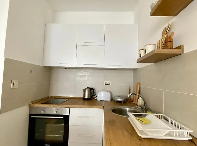 Apartment Mladenovic Zlatibor